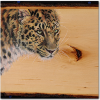 Leopard on Wood - Click to Enlarge Image