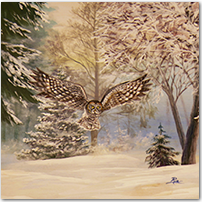 Ghost of the Forest - Click to Enlarge Image