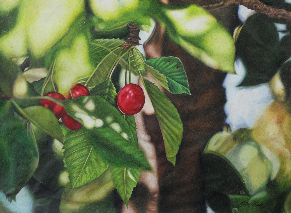 Just Ripe by Ria Fine Art