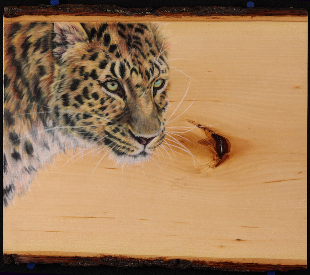 Leopard on Wood by Ria Fine Art