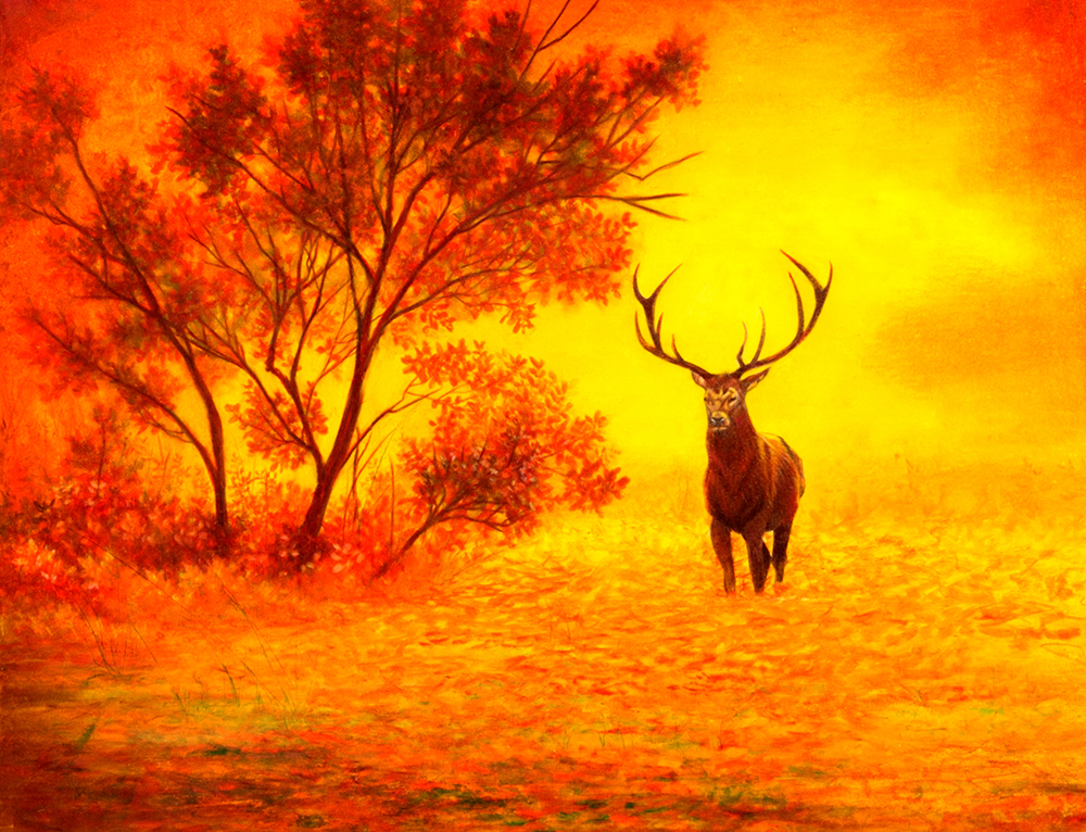 Majestic Sunset by Ria Fine Art