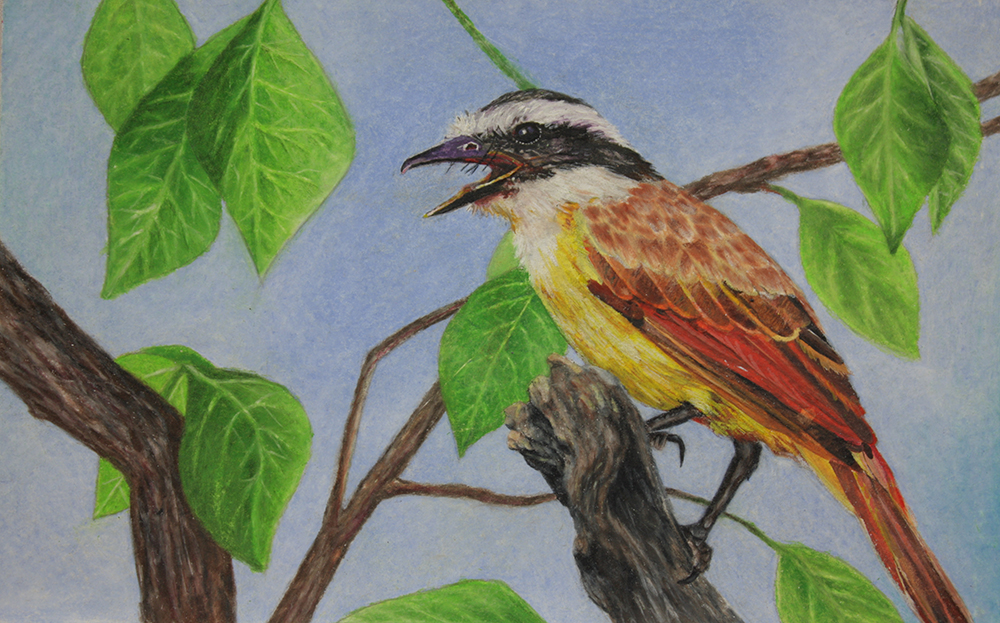 Morning Song by Ria Fine Art