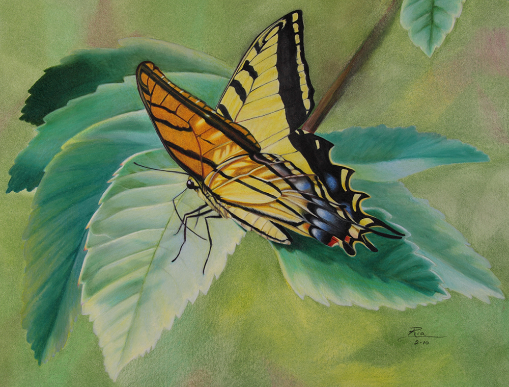 The Flutterby by Ria Fine Art