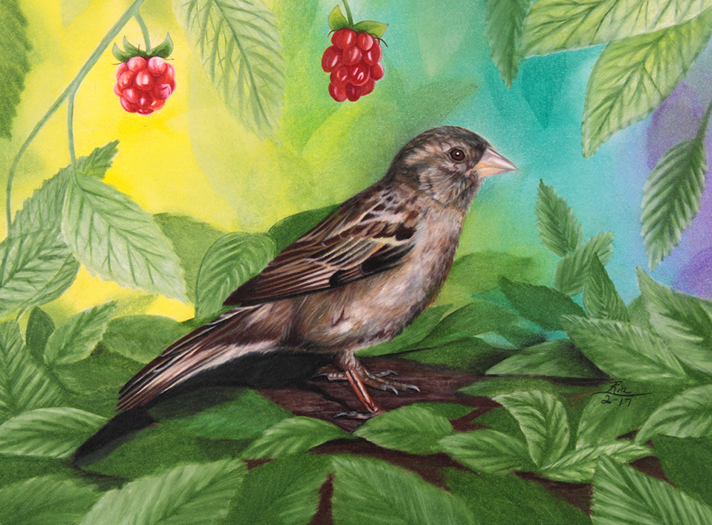 Under the Rasberry Bush by Ria Fine Art