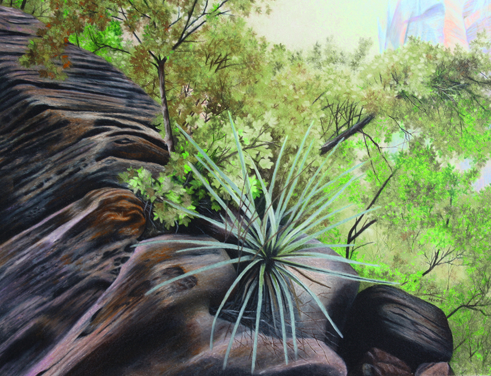 Yucca by Ria Fine Art