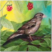 Under the Raspberry Bush - Click to Enlarge Image