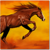 Wild Horse - Click to Enlarge Image