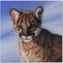 Little Cougar Cub - Click to Enlarge Image