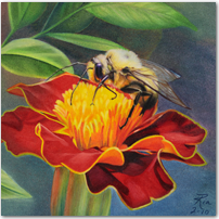 Little Bumblebee - Click to Enlarge Image