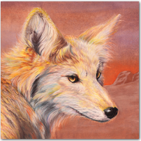 Little Coyote - Click to Enlarge Image