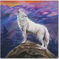 Welcoming the Night - Click to Enlarge Image