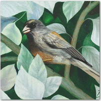 Among the Leaves - Click to Enlarge Image