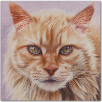 Tiger in Training - Click to Enlarge Image