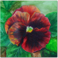 At Temple Square #3 - Click to Enlarge Image