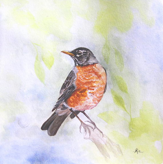 Robin by Ria Fine Art