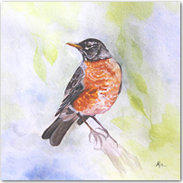 Robin - Click to Enlarge Image
