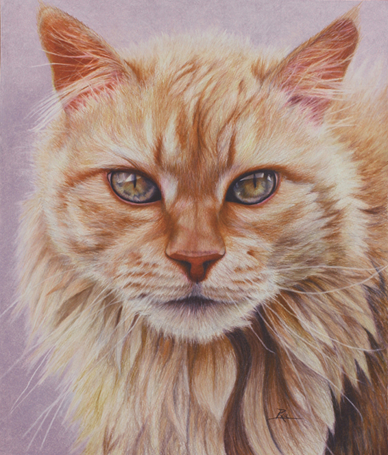 Tiger In Training by Ria Fine Art